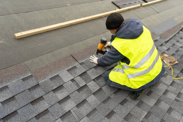 Roof Gutter Cleaning in Pine Lakes, FL